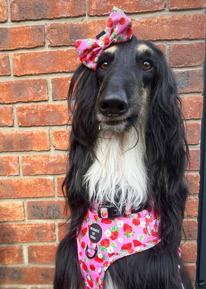 Strawberry Patch Design Dog Bow Tie