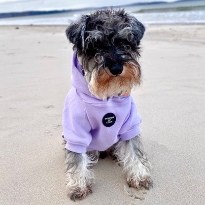 Dog Hoodie - Lilac