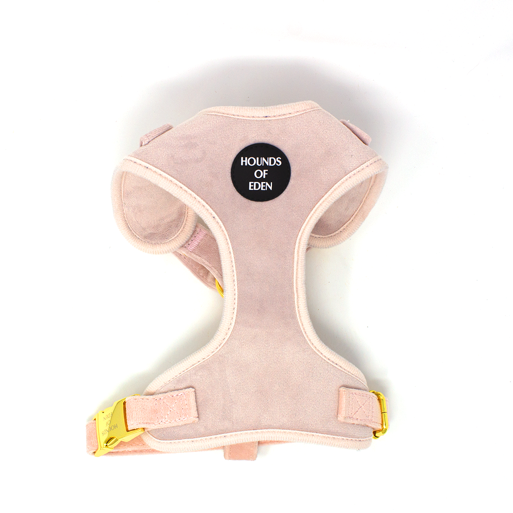 Pure Peony - Pink Velvet Dog Harness with Gold Metal Hardware