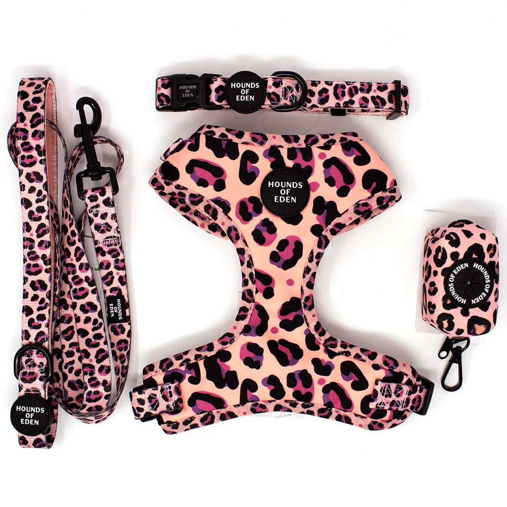 'Blushing Leopard' - Pink Dog Collar