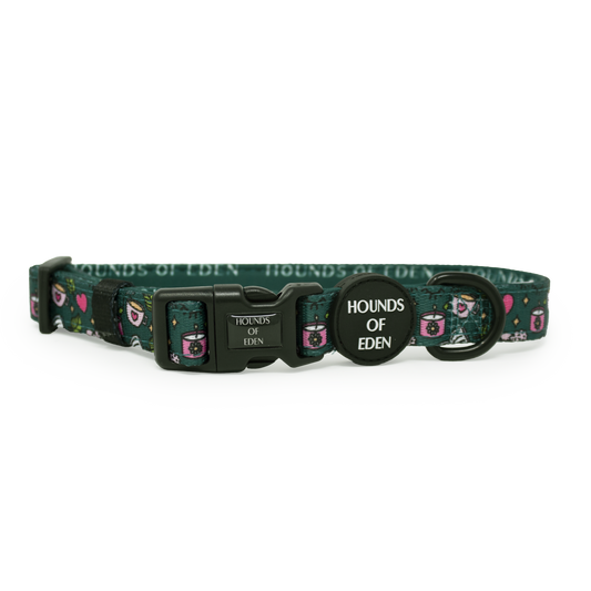 Self Care Design Dog Collar