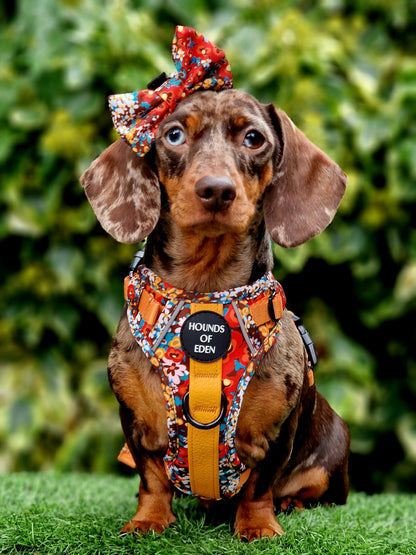 Retro Bloom Dog Supaw Strong Lite™ Harness (XS-XL)