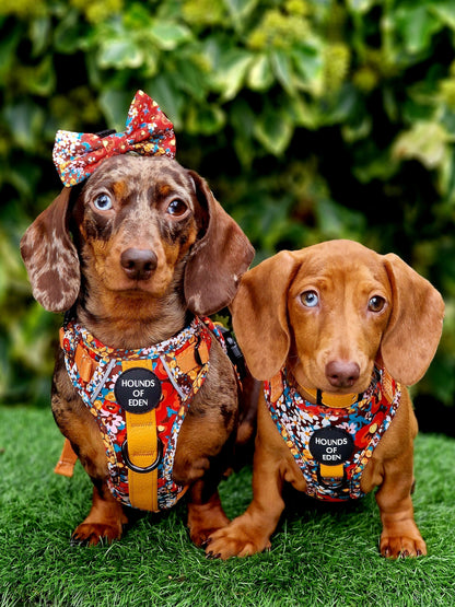 Retro BloomDesign Dog Bow Tie