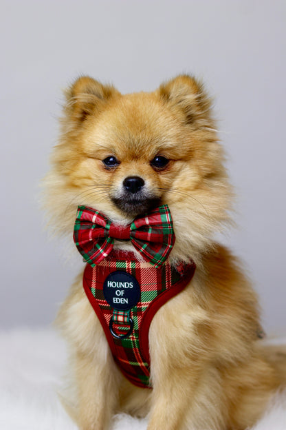 Tartan Me Up - Red & Cream Tartan Design Dog Harness